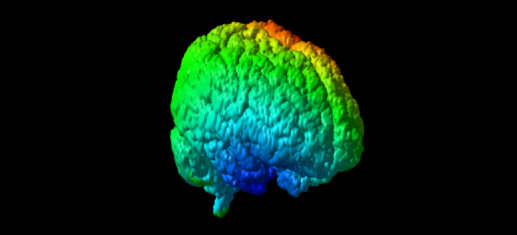 EEG - MRI - 3D - Rekonstrukcja źródeł > EEG Elektroencefalografia